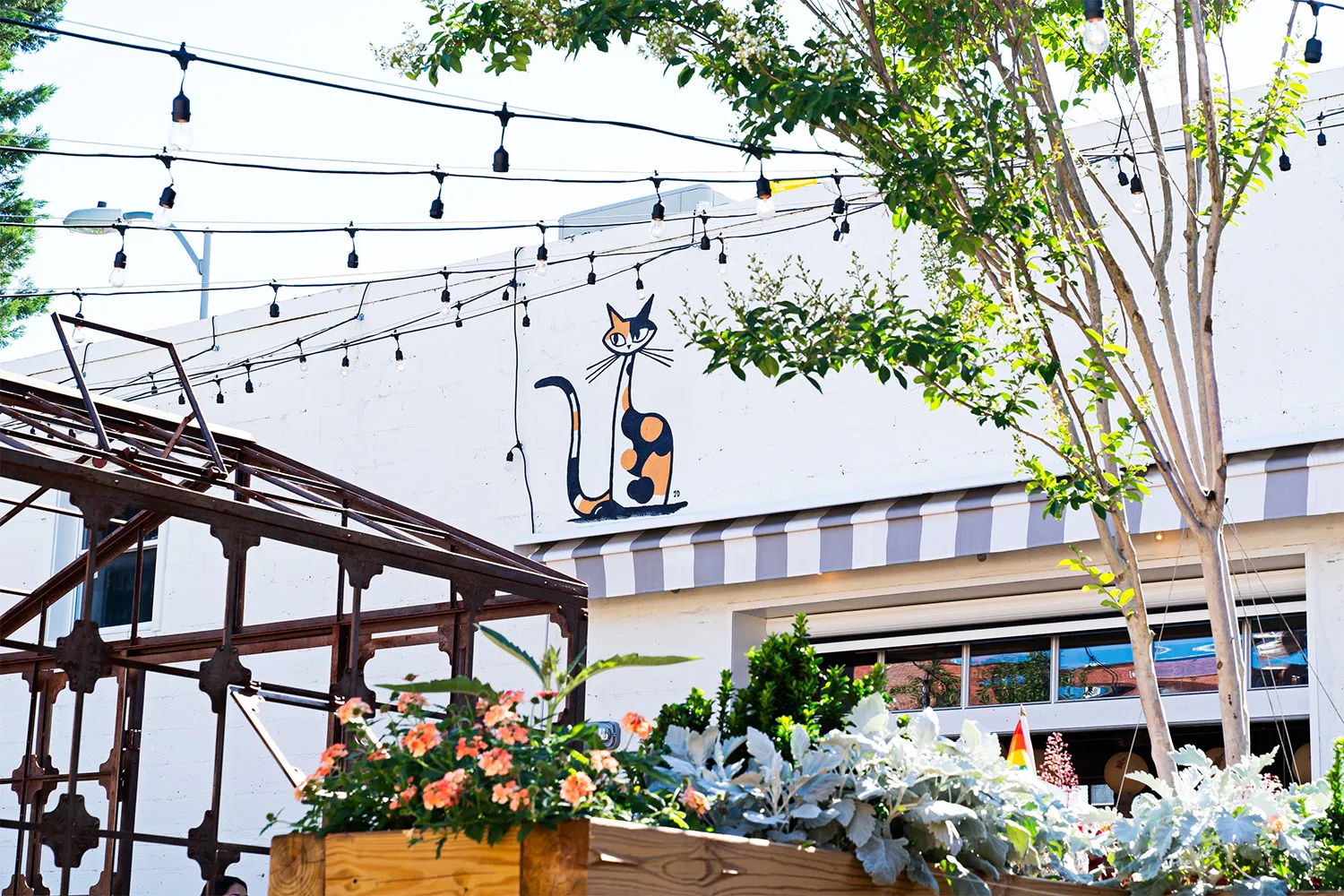 UNC MPA Happy Hour Hub – DC Featured Image